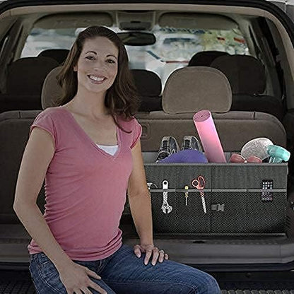 ORGANIZADOR DE BAUL PARA CARRO